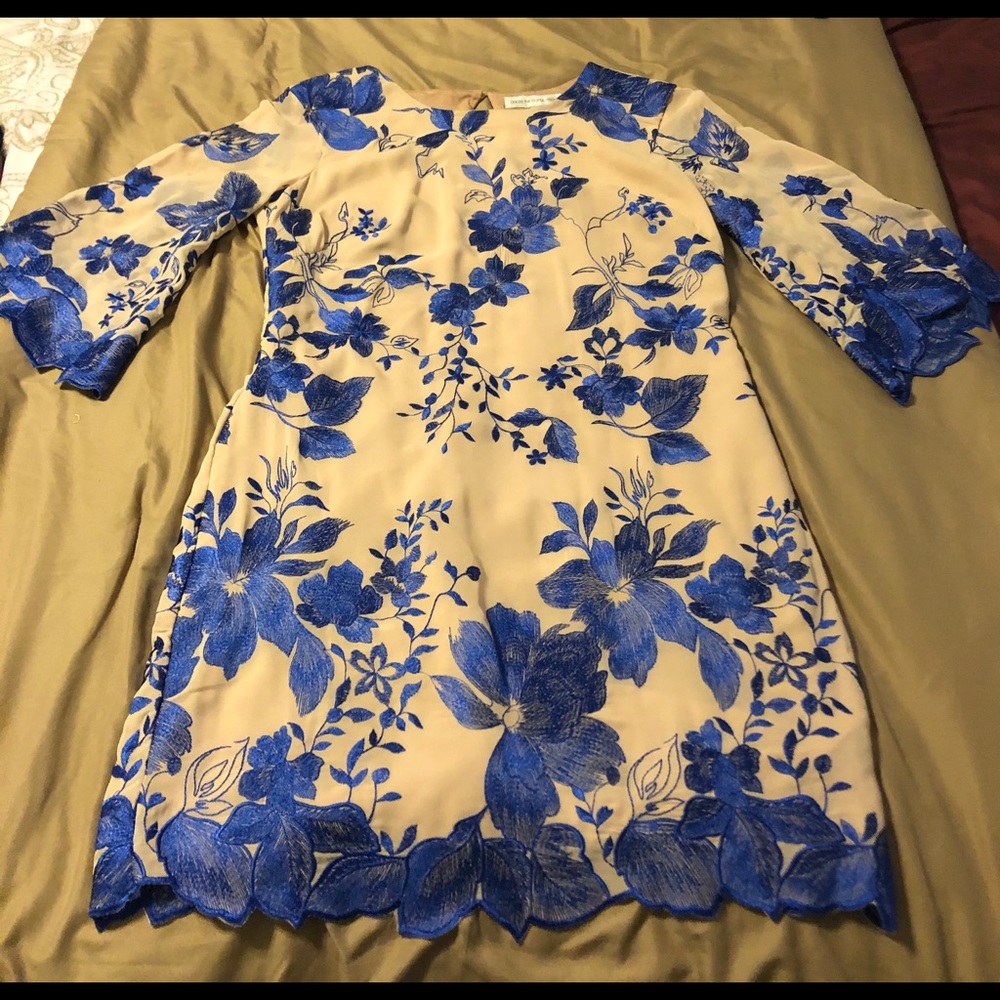 Beautiful embroidered blue/nude long sleeve dress